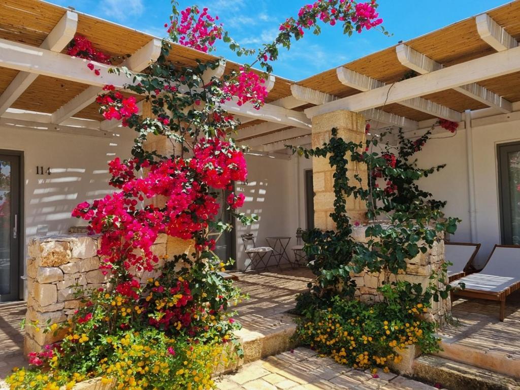 Masseria Baroni Di Montesardo Lido Marini Exteriér fotografie